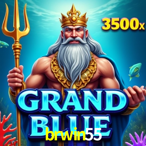 Estatísticas brwin55