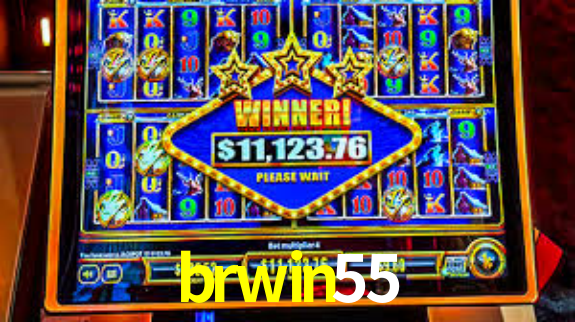 Interface Premium brwin55